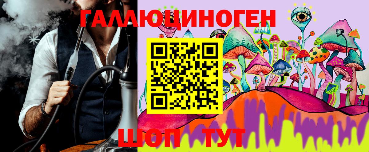Галлюциногенные грибы Cubensis Чернушка