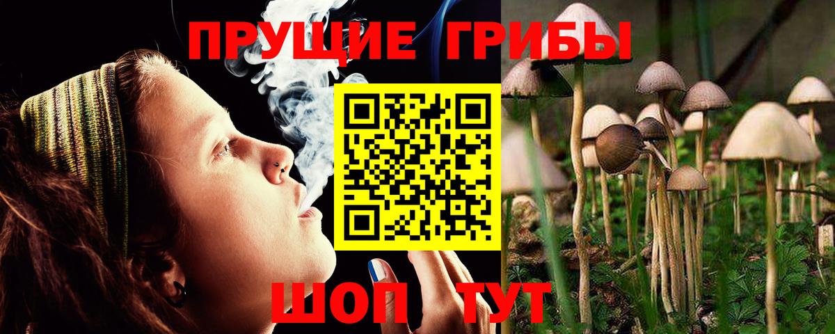закладка  Псилоцибиновые грибы ЛСД  Вход с VPN  Чернушка 